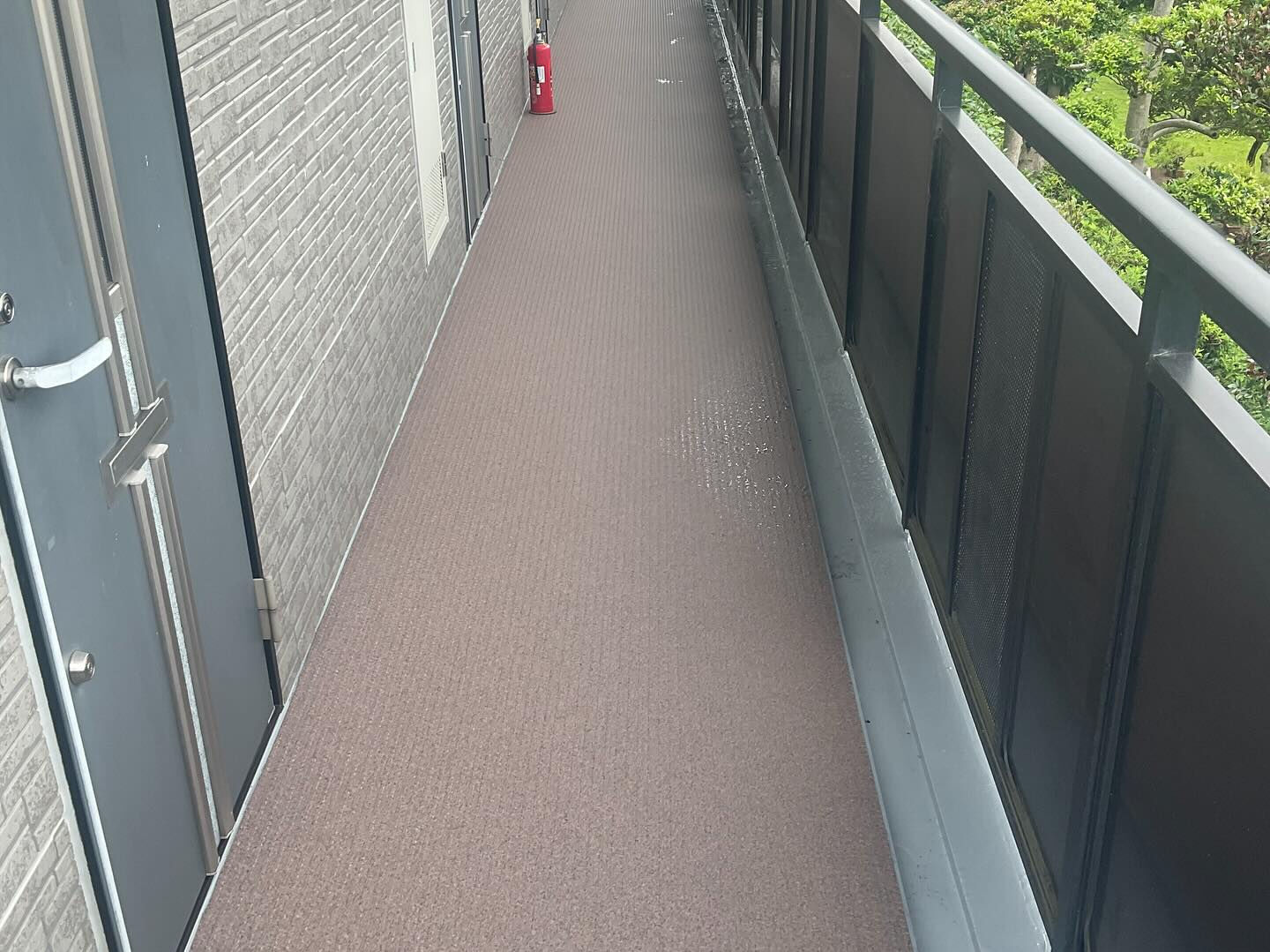 栄州ホームです！長尺シートを貼っていただきました😊